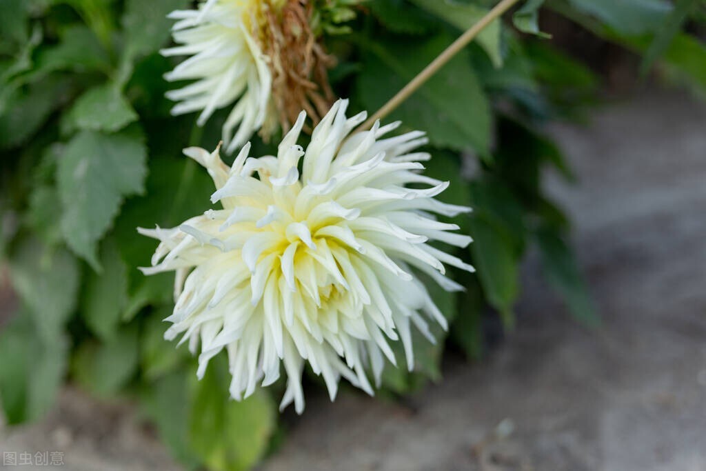 清明节：致天堂里的父亲