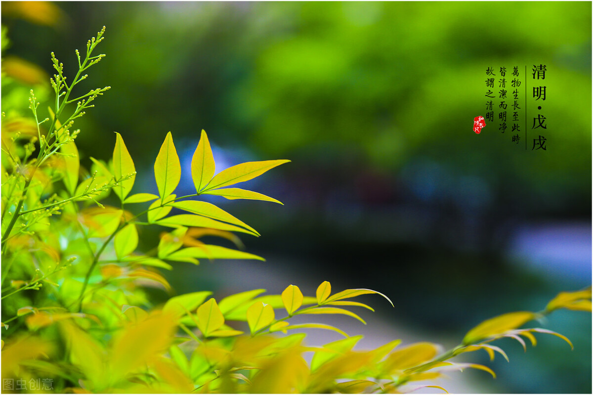 清明节发的句子，清明节里雨纷纷，莫要悲伤伤自身