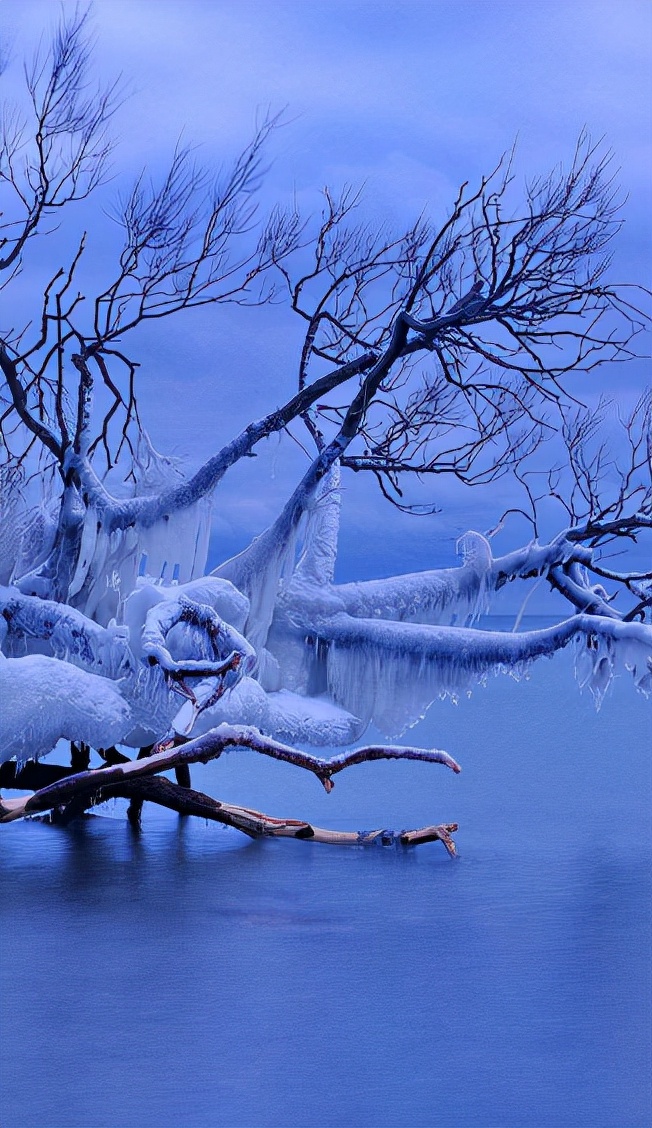 一场大雪美如画，十二首雪景的诗词，欣赏诗人笔下的绝美雪景