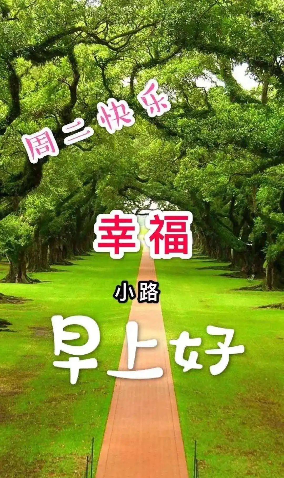 一份简单的祝福能让你今天过得开心，早上好