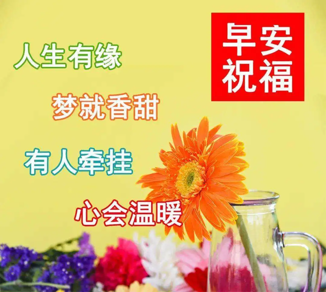 早安吉祥：许一个新年的愿望，让生活不再惆怅，早上好