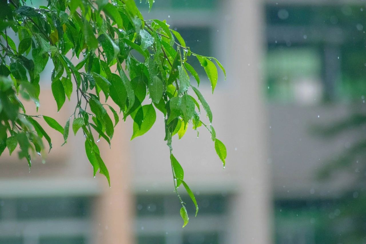 20首微雨诗词，雨落长空，打湿了谁的思念