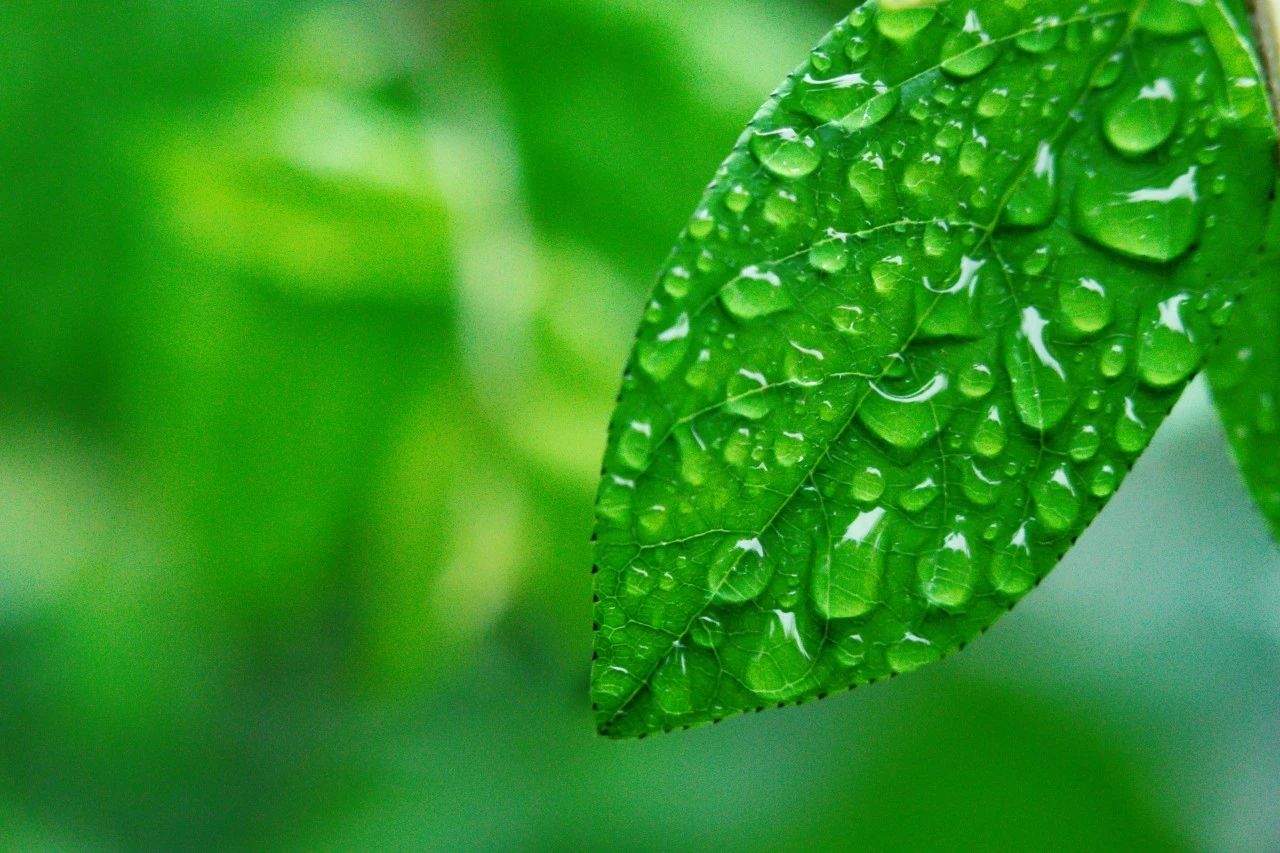 20首微雨诗词，雨落长空，打湿了谁的思念