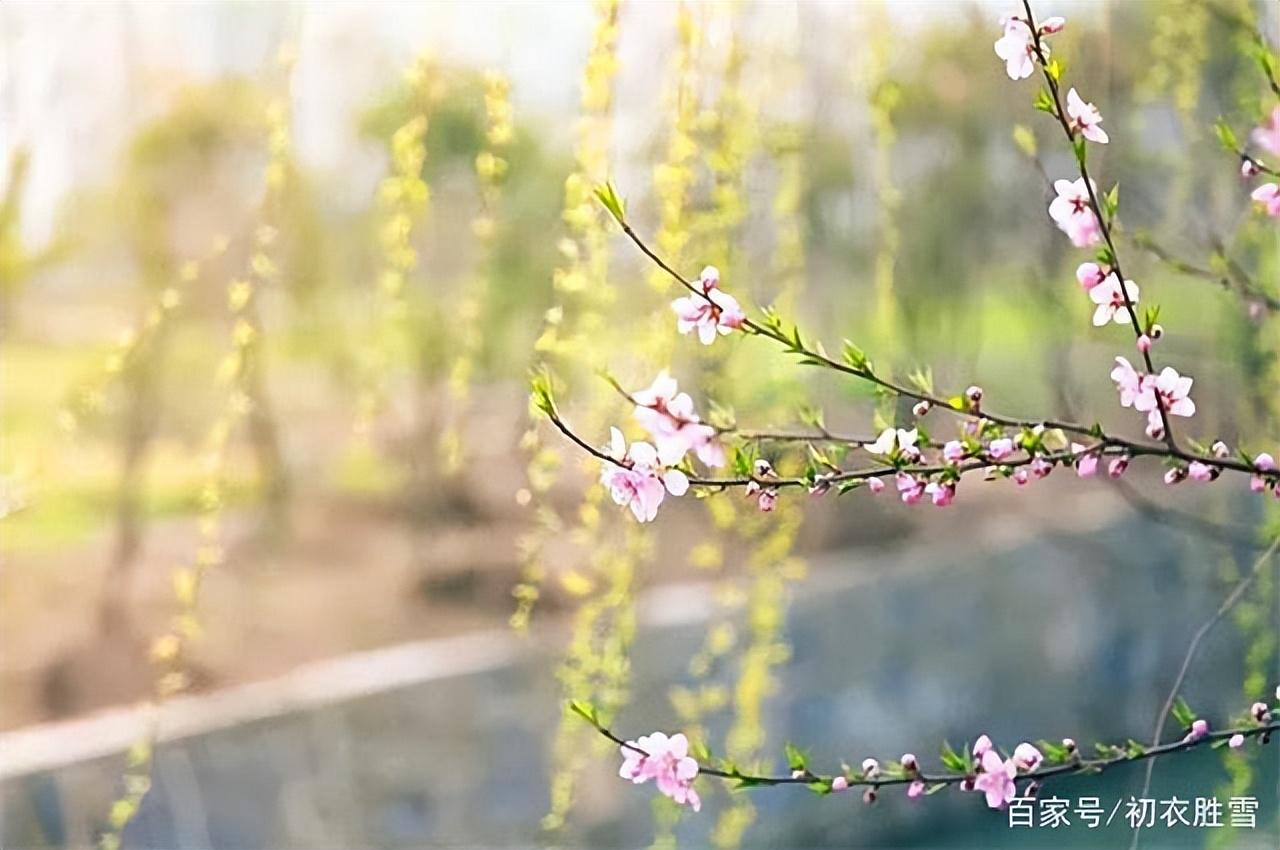 春有百花秋有月 夏有凉风冬有雪（诗句出处和全诗赏析）