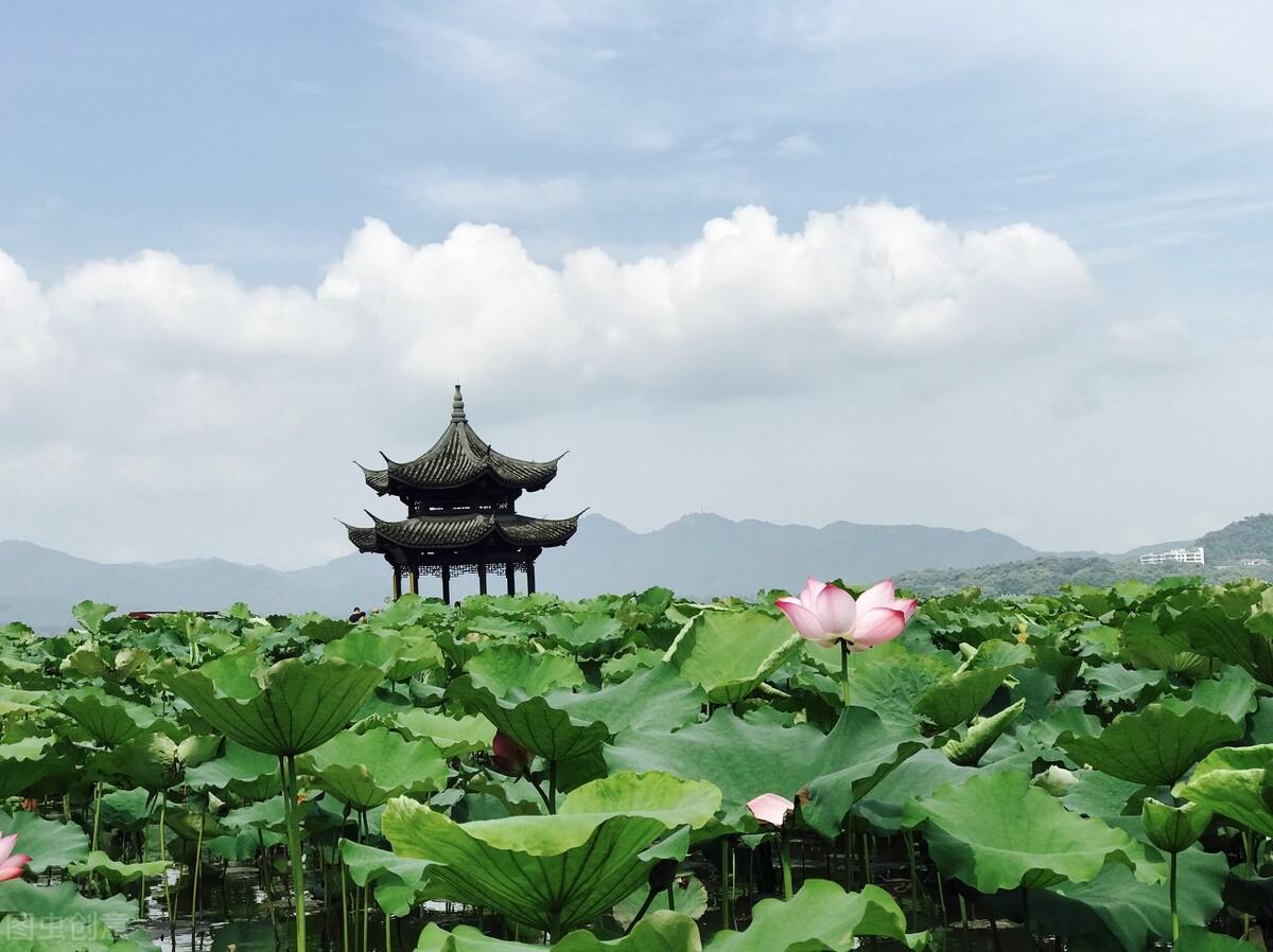 接天莲叶无穷碧 映日荷花别样红（诗句出处和全诗赏析）