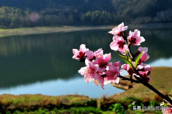 偷得浮生半日闲（诗句出处和全诗赏析）