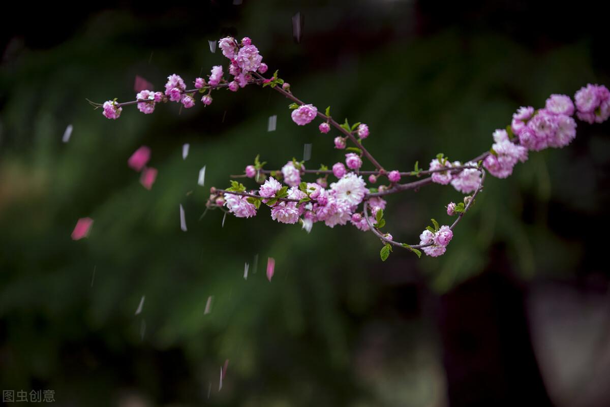 自在飞花轻似梦无边丝雨细如愁（诗句出处和全诗赏析）