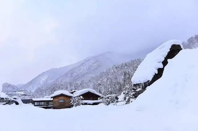 冬雪的诗句（最美冬雪诗三十首，唯美了整个冬天）