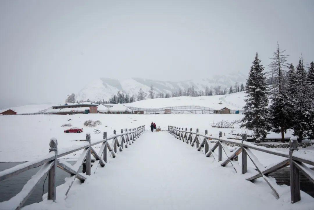 大雪诗句（10首大雪诗词，江南江北，大雪漫漫）