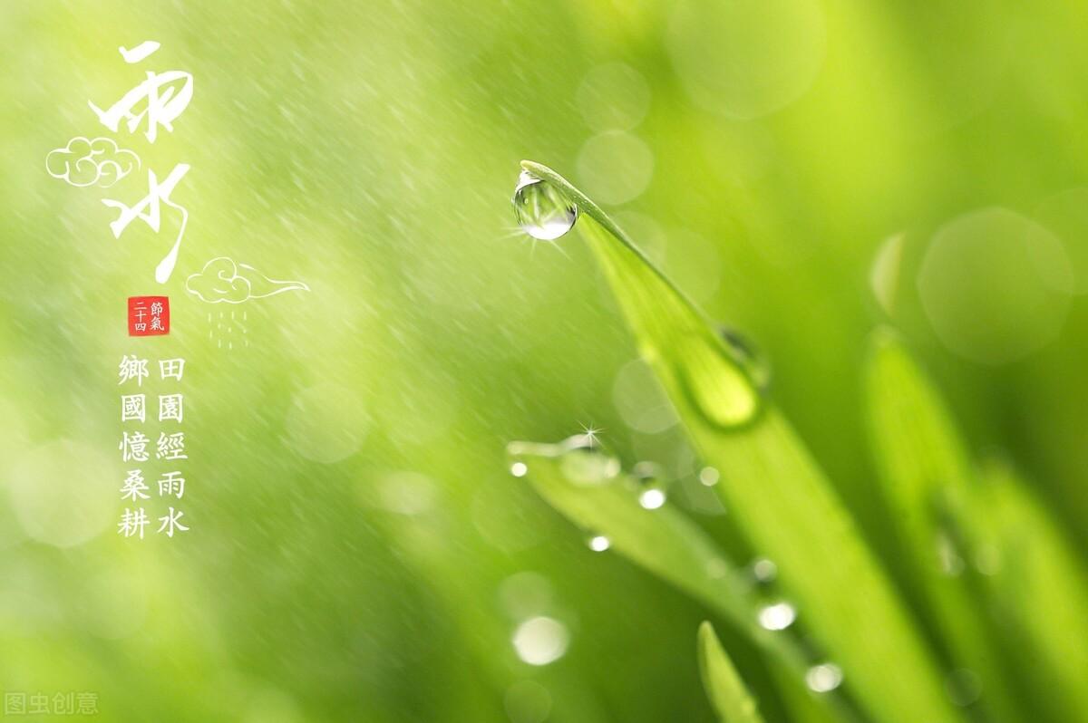 雨水节气的诗词（6首雨水节气的古诗词）