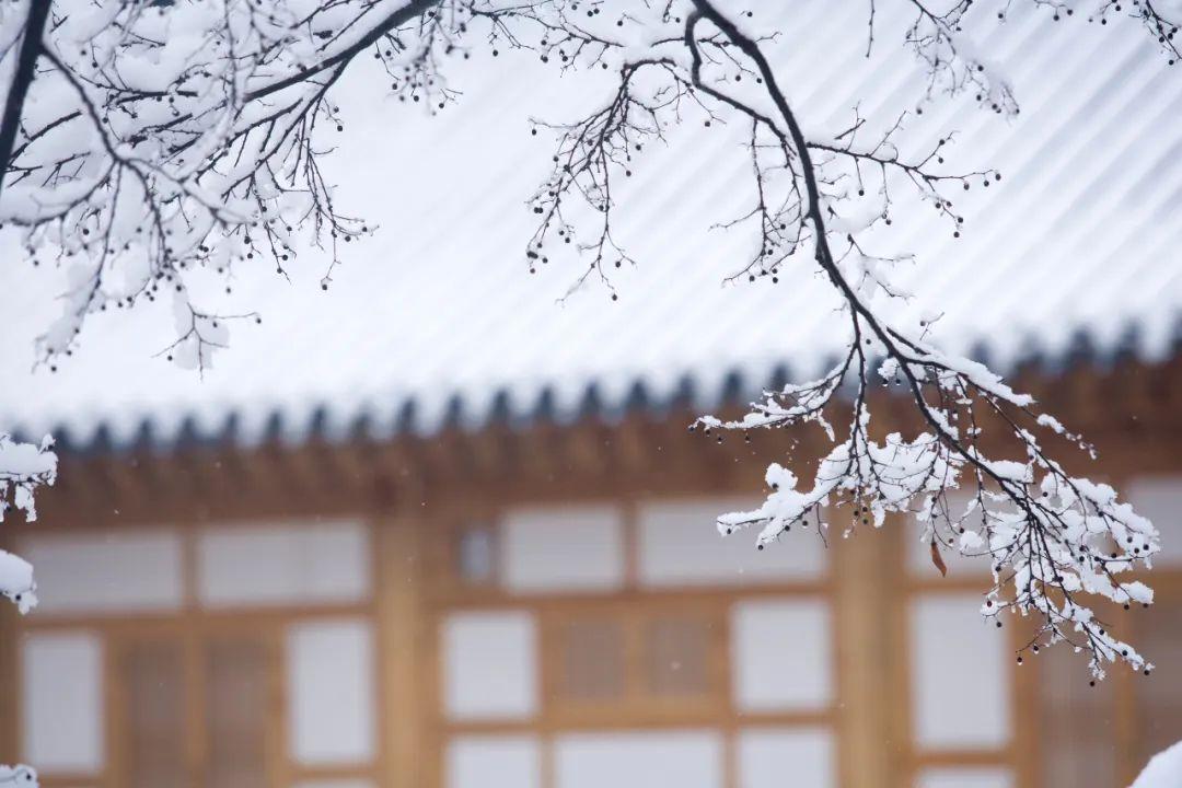 关于雪的诗词（写雪最美的10首诗词，美到灵魂里）