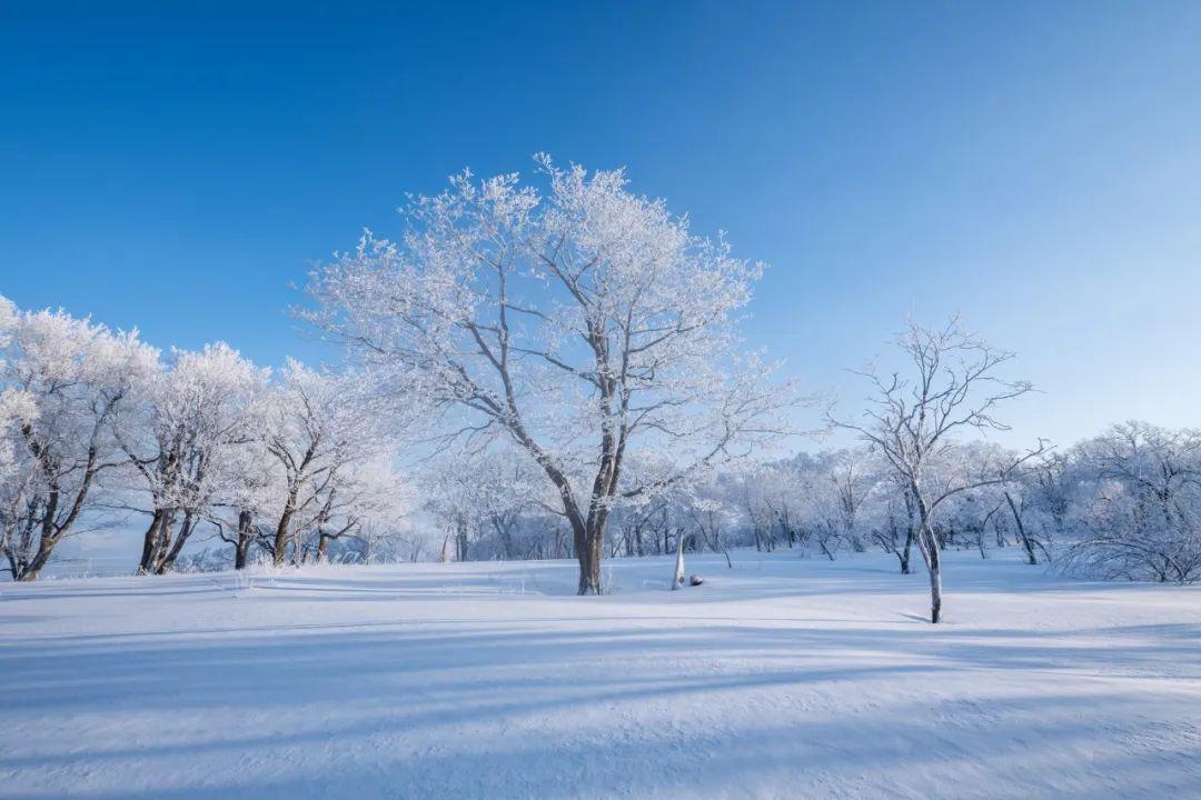 关于冬雪的诗句（10首咏雪诗词，唯美了整个冬天）