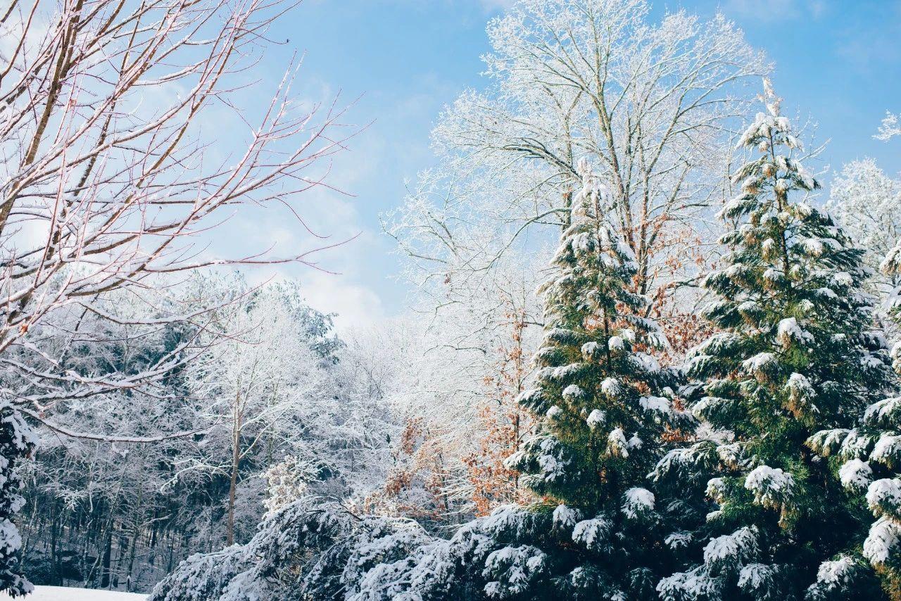 描写雪景的诗句（8首咏雪诗词，冬景似春华）