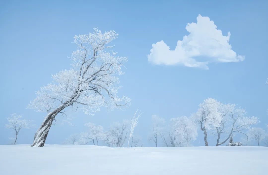 雪花的诗句（36首冬雪诗词，不自觉地赞美雪）