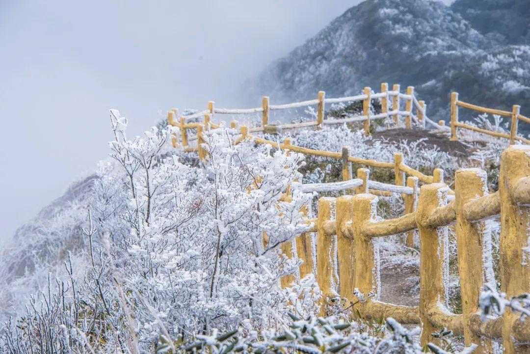 雪景诗句（十五首古人对雪的诗词，有数不尽的浪漫​）