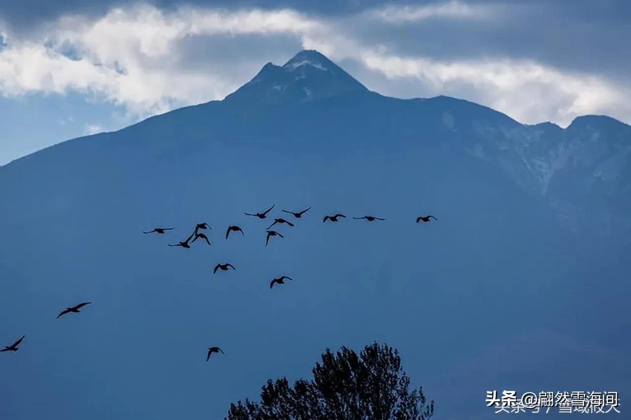 亲情的诗句（6首感人的父母诗词，父爱是山，母爱是水）