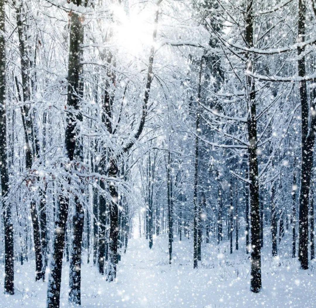 雪景诗句（十五首古人对雪的诗词，有数不尽的浪漫​）