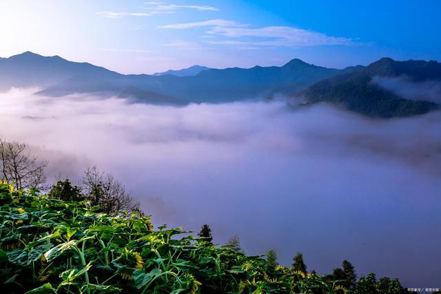 四月的诗句（八首写在四月的诗，句句唯美）