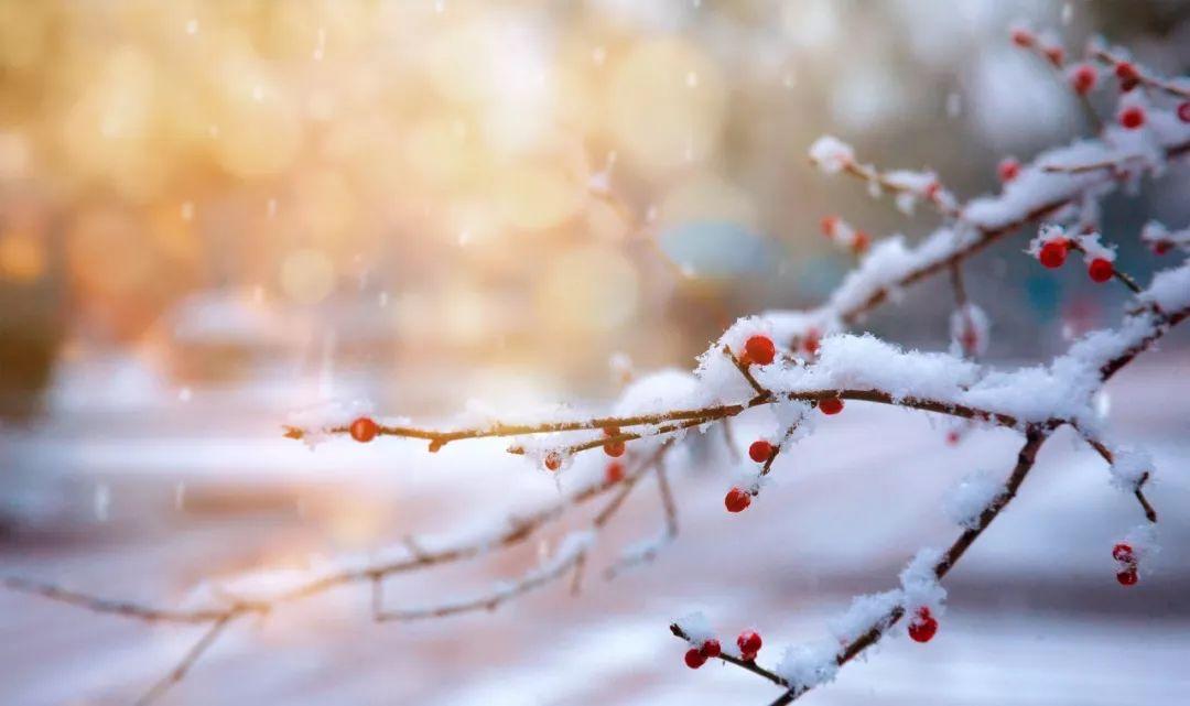 雪诗词（100句雪诗词，遇见最美冬天）