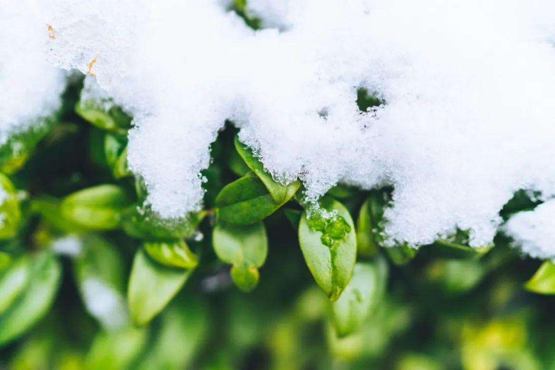 形容雪的诗句（36首冬雪诗词，带你感受冬日的雪）