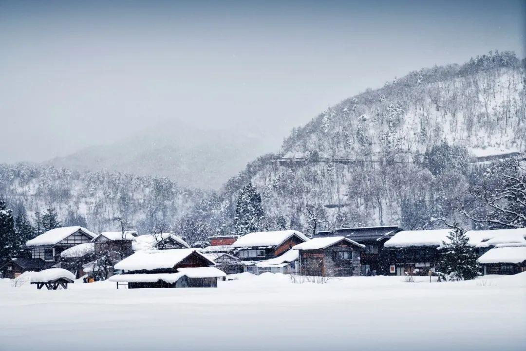 冬至诗句古诗（最美的10首冬至诗词，醉美了整个冬天）