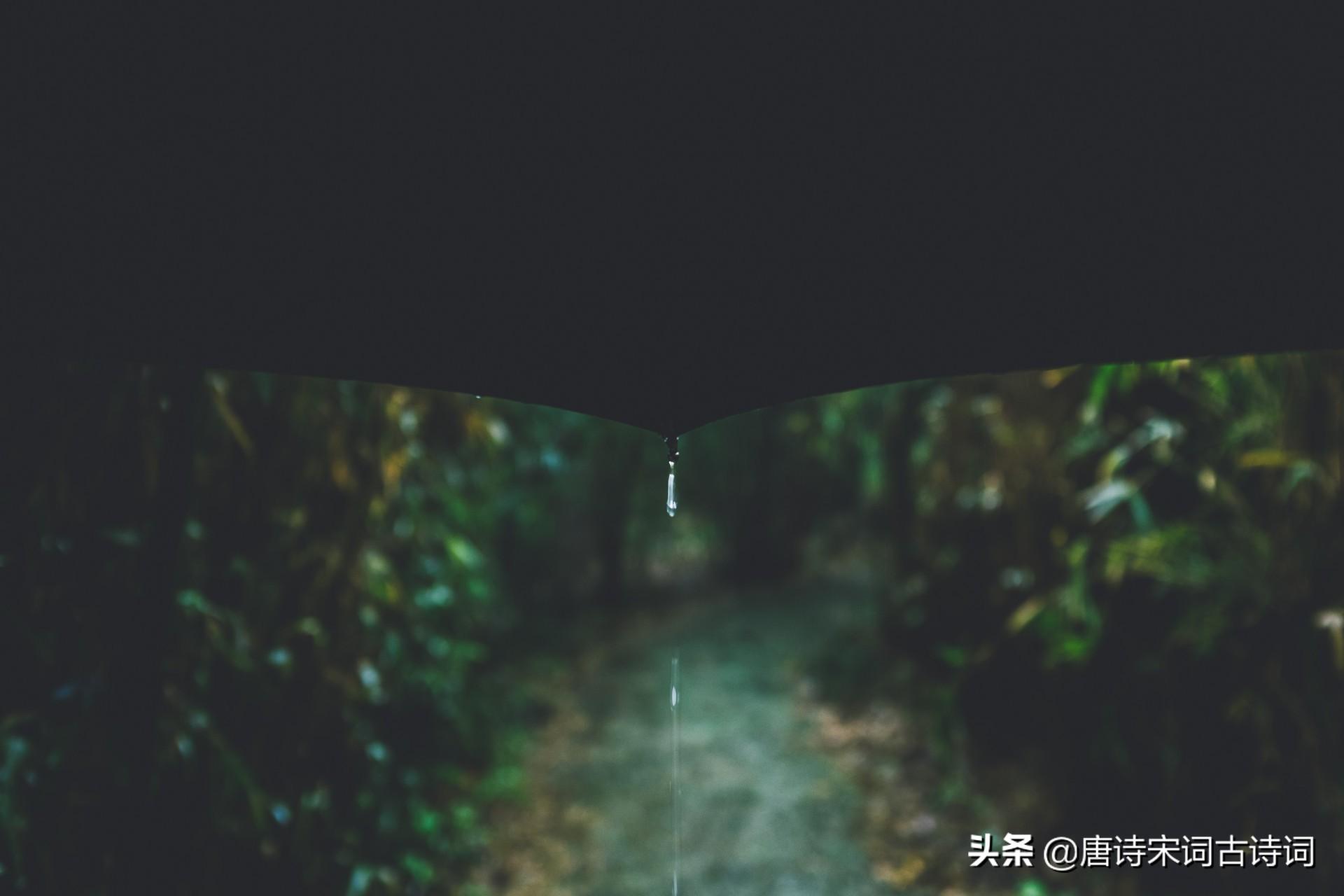 含雨的诗句（越读越有味的带雨古诗句）