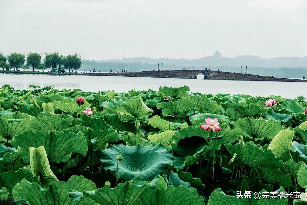 江南汉乐府（原文 翻译及赏析）