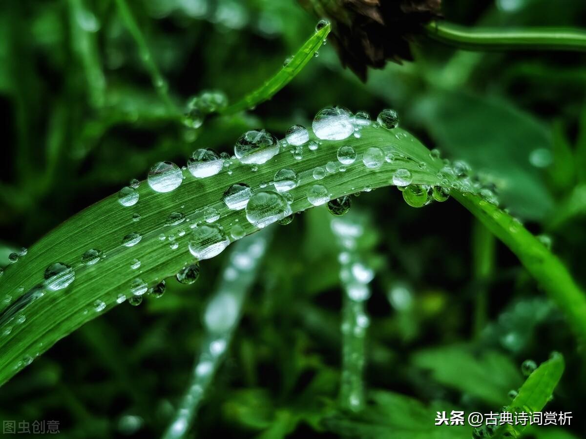 晚晴（原文 及赏析）