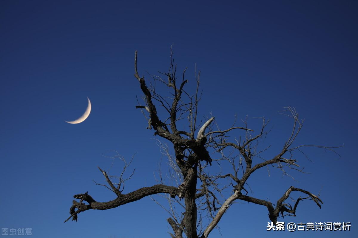 可怜九月初三夜（诗句出处和全诗赏析）