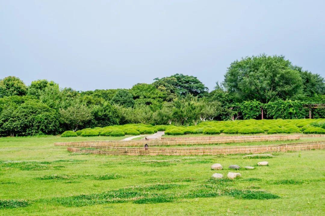 夏至诗句（10首最美夏至诗词，温柔了整个夏天）