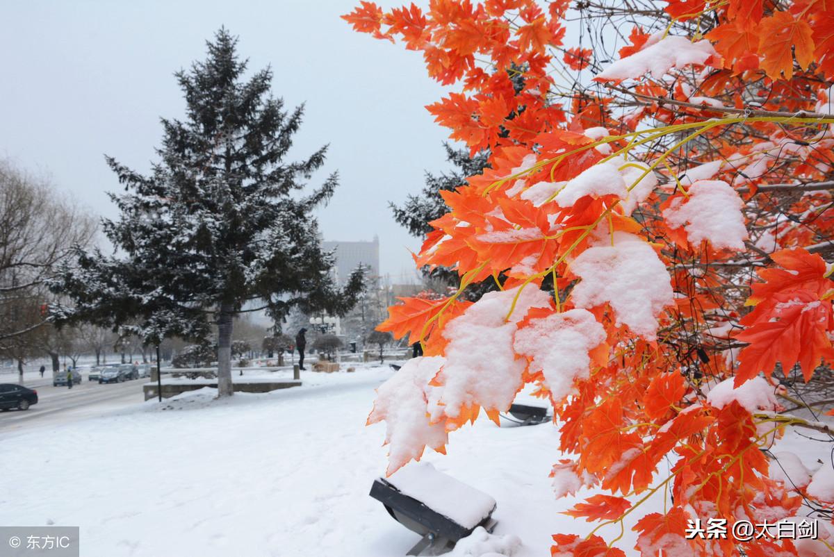 关于雪的古诗（十首写雪的诗词，诗词中的雪很美）