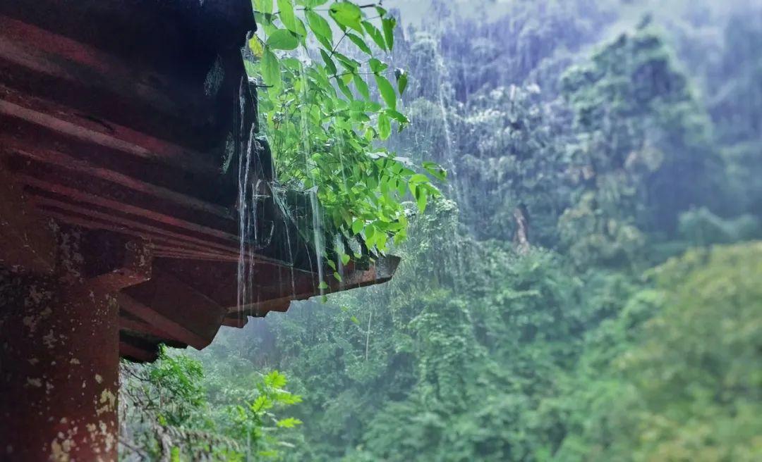 有关雨的诗句（8首最美的春雨诗词）