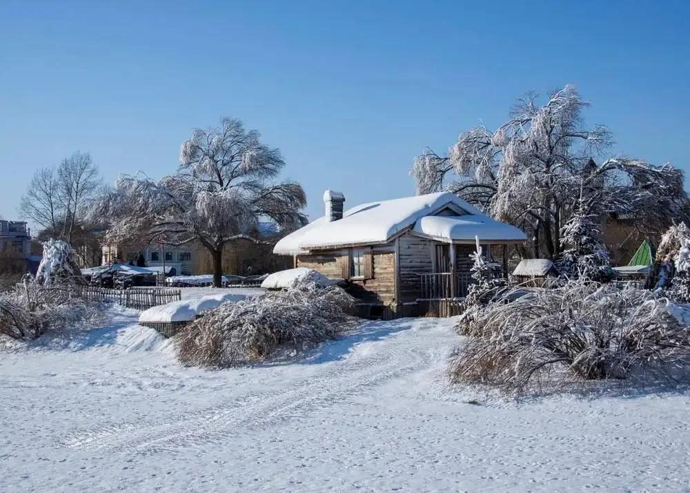 冬雪的诗句（最美冬雪诗三十首，唯美了整个冬天）