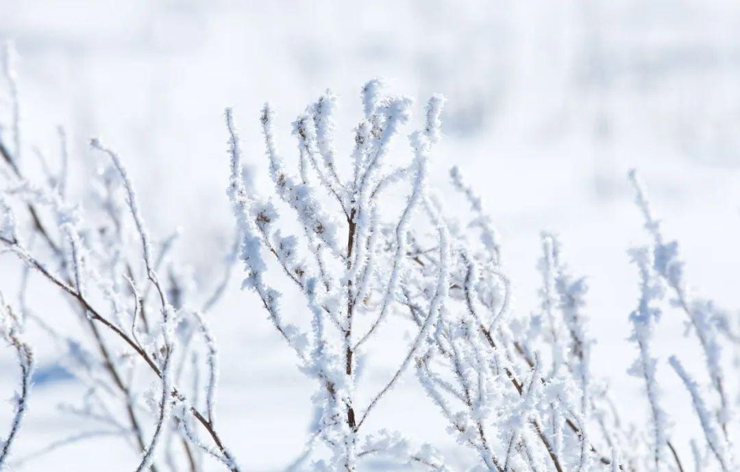 大雪诗句（10首大雪诗词，江南江北，大雪漫漫）