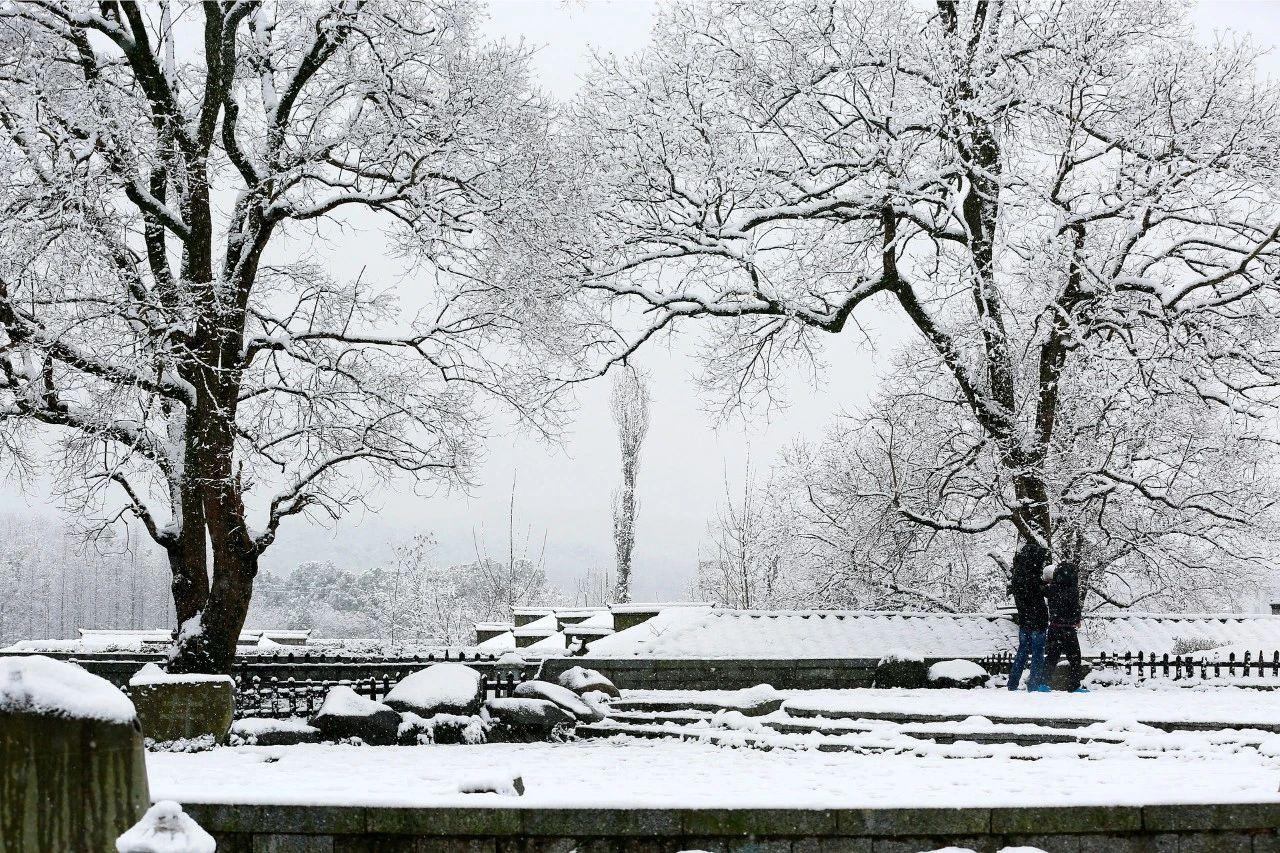 描写雪景的诗句（8首咏雪诗词，冬景似春华）