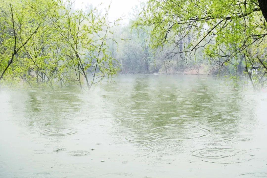 有关雨的诗句（8首最美的春雨诗词）