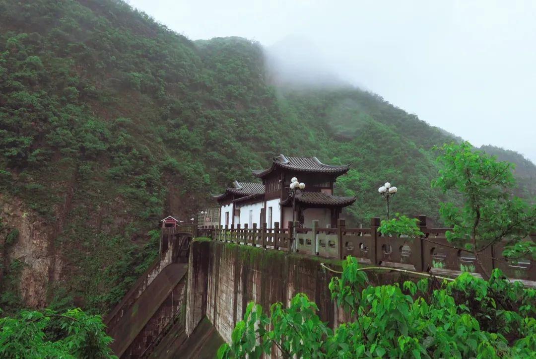 有关雨的诗句（8首最美的春雨诗词）