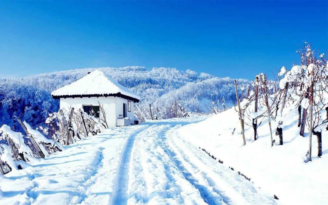 雪景诗句（十五首古人对雪的诗词，有数不尽的浪漫​）