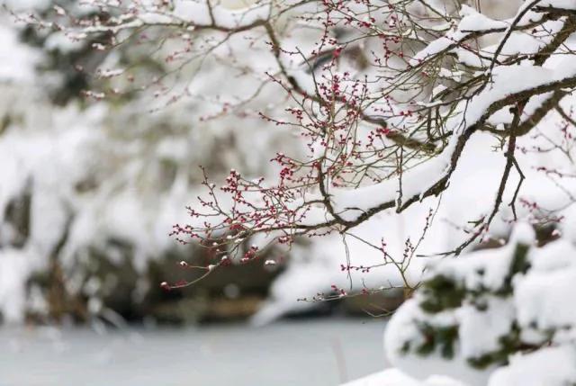 冬雪的诗句（最美冬雪诗三十首，唯美了整个冬天）