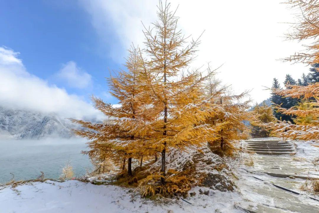 大雪诗句（10首大雪诗词，江南江北，大雪漫漫）