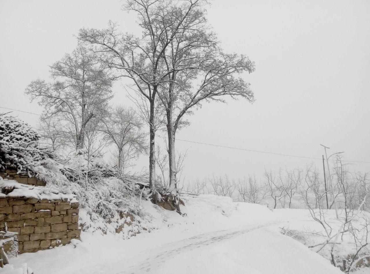 描写雪景的诗句（8首咏雪诗词，冬景似春华）