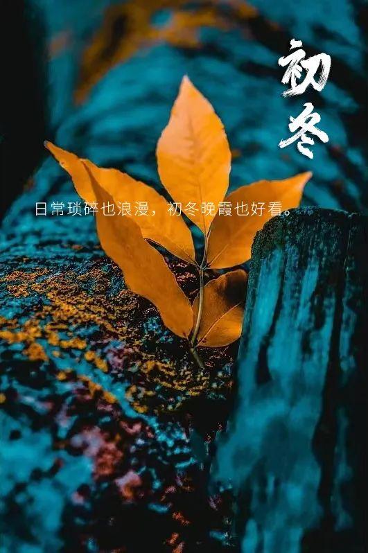 初冬的唯美句子（20句适合初冬发的文案，唯美暖心）