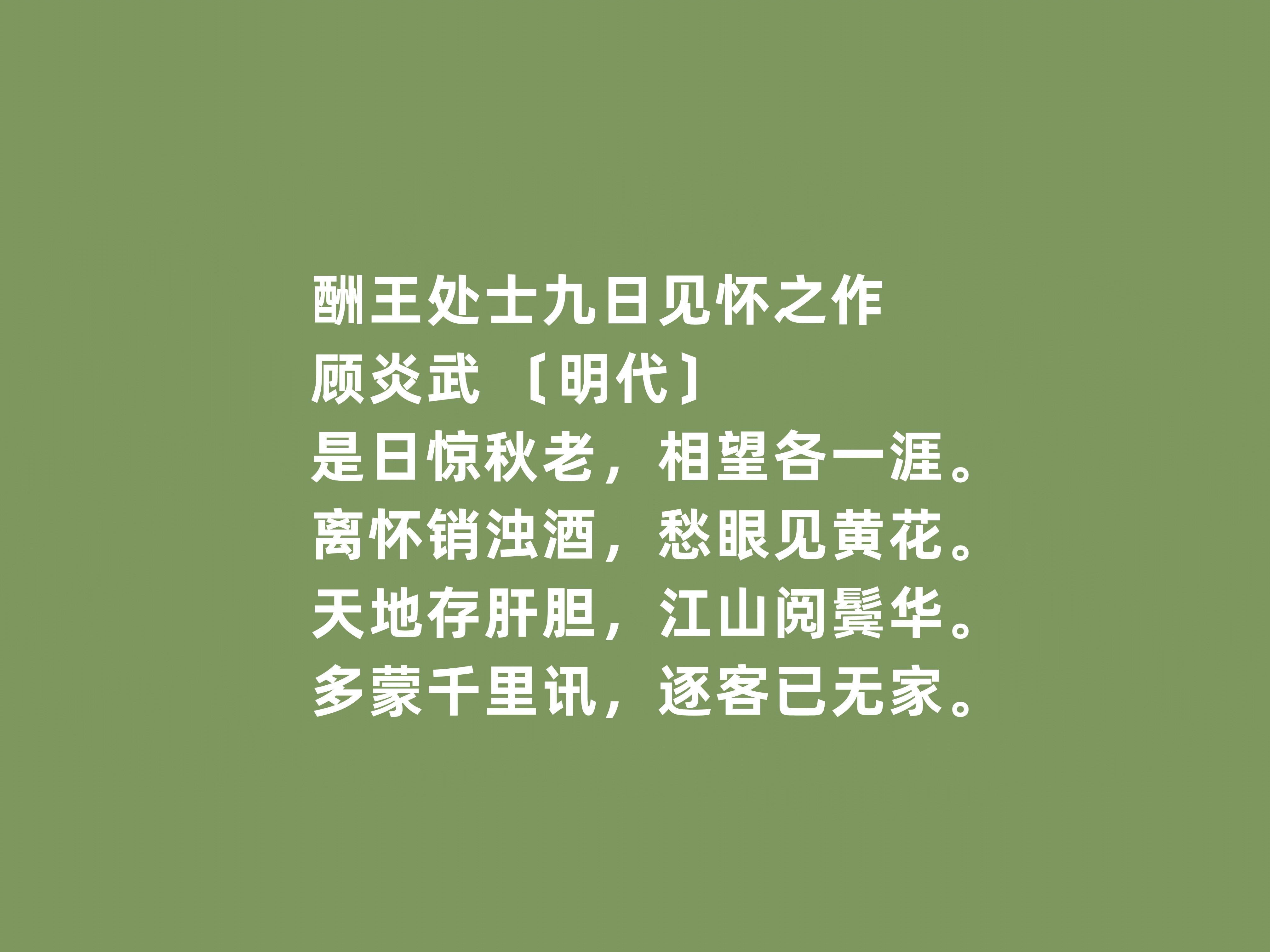 重阳节的诗句（读十首古诗词，重阳以孝为先）