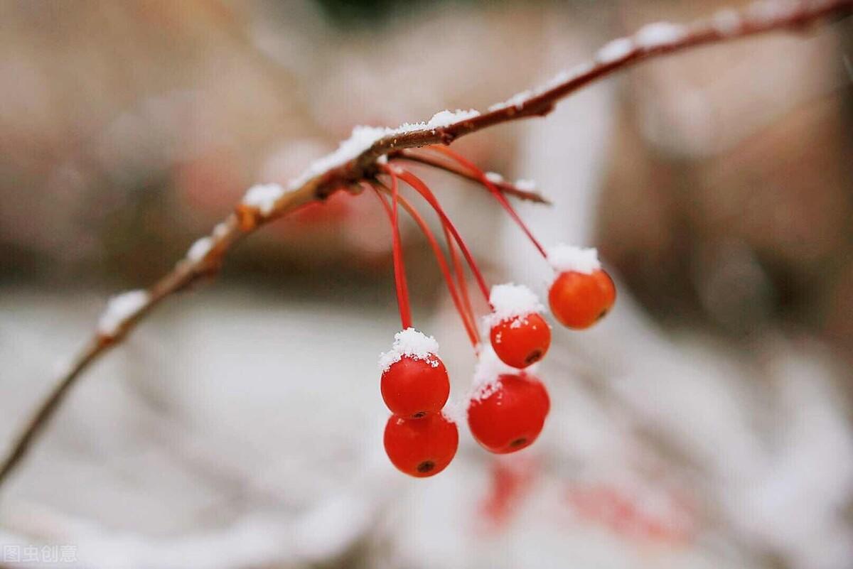 关于雪的诗句，每一句都很美