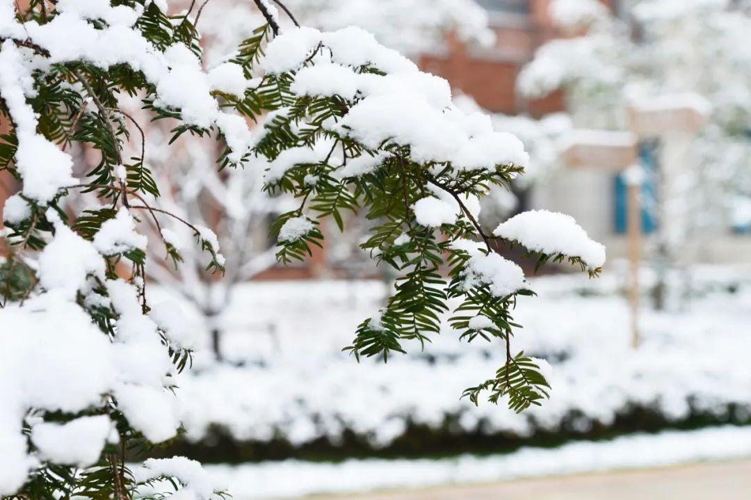 雪的诗句10首，浪漫了整个冬天