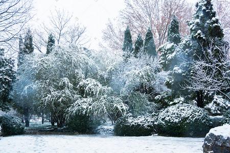 描写冬天雪景的诗句15首，带你赏诗意雪景