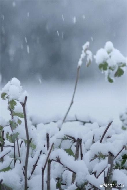 下雪的心情的经典句子23句，文艺优雅