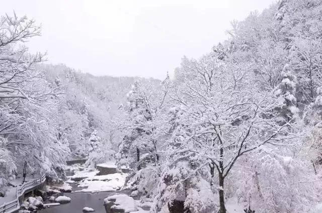 描写冬天雪景的诗句15首，带你赏诗意雪景