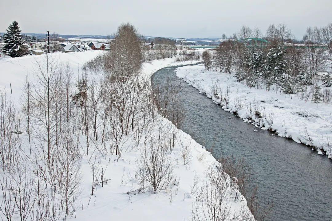 雪的诗句10首，浪漫了整个冬天