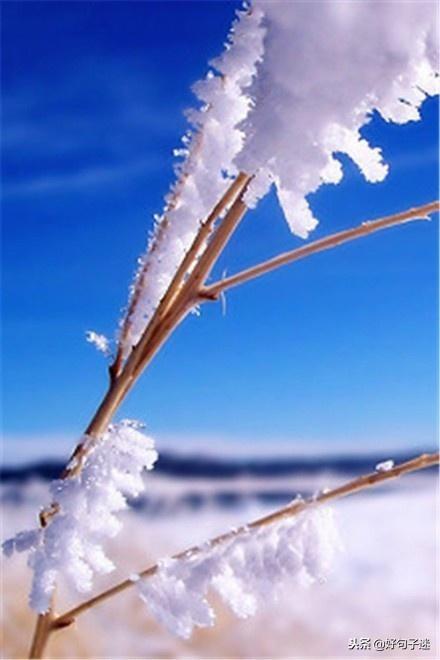 下雪的心情的经典句子23句，文艺优雅